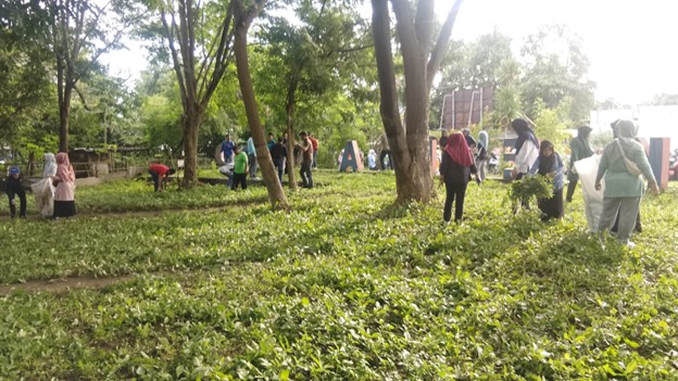 PARTISIPASI DKISS DALAM SUMBAWA HIJAU LESTARI